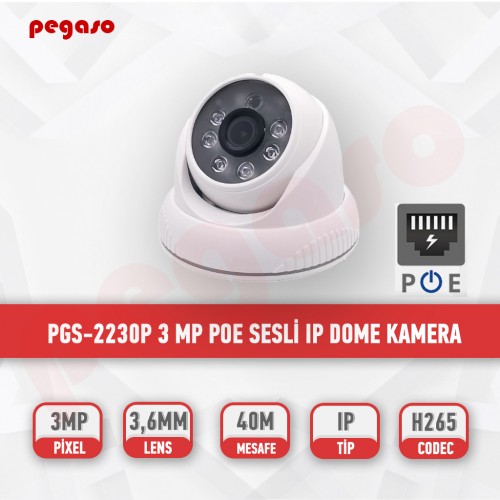 PEGASO PGS-2230P 3 MP POE SESLİ IP  DOME GÜVENLİK KAMERASI