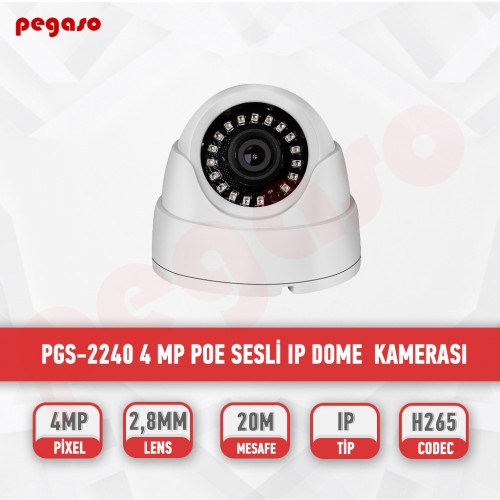 PEGASO PGS-2240 4 MP POE SESLİ IP  DOME GÜVENLİK KAMERASI