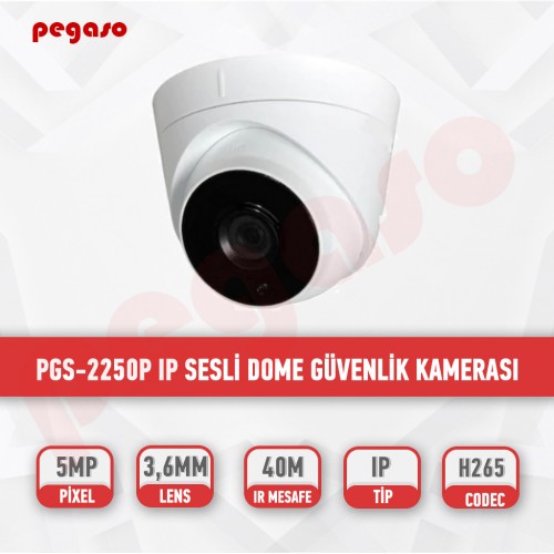 PEGASO PGS-2250P 5 MP 3,6 MM 3  ARRAY LED IP DOME GÜVENLİK KAMERASI